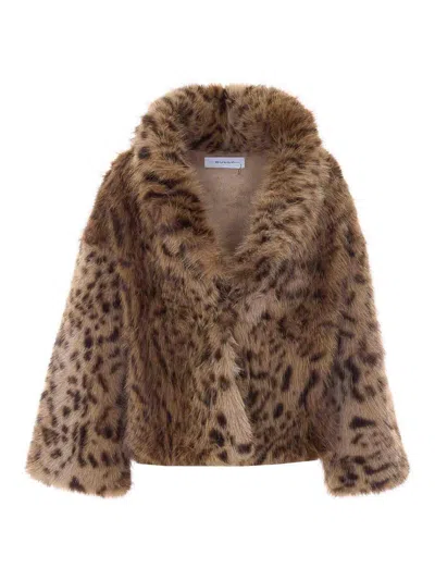 Bully Chaqueta Casual - Marrón