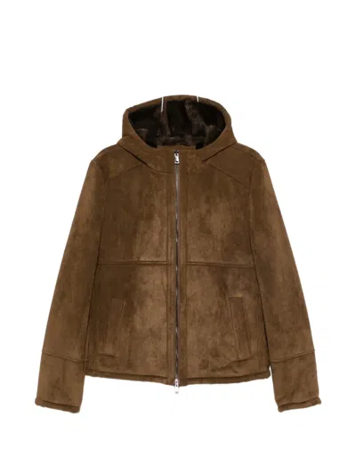 Bully Suede-effect Hooded Jacket In Brown