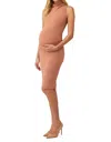 BUMPSUIT THE EMMA DRESS IN ROSE