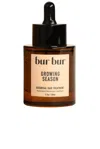 Bur Bur Growing Season Burdock Hair Growth And Repair Oil In Transparent