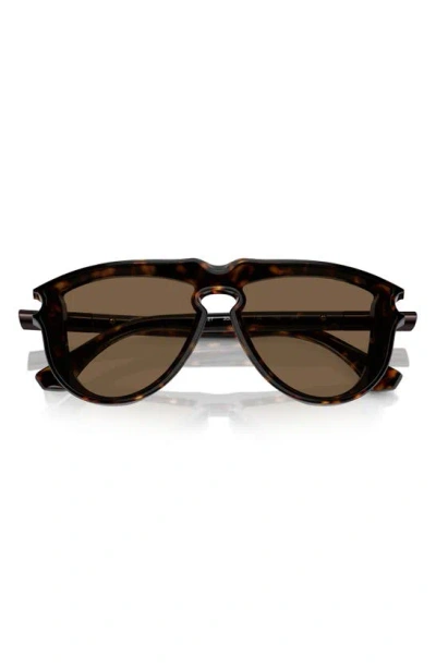 Burberry 36mm Pilot Sunglasses In Dk Havana