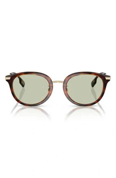 Burberry 50mm Phantos Sunglasses In Dark Havana