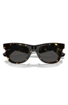 Burberry 50mm Square Sunglasses In Dark Havana