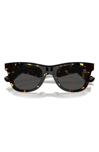 Burberry 50mm Square Sunglasses In Dark Havana