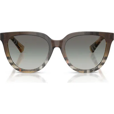 Burberry 53mm Phantos Sunglasses In Brown