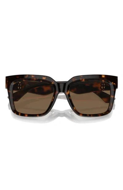 Burberry 54mm Square Sunglasses In Dark Havana