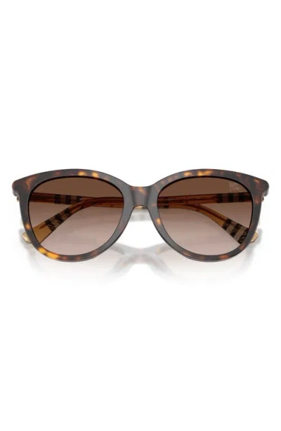 Burberry 55mm Phantos Sunglasses In Multi