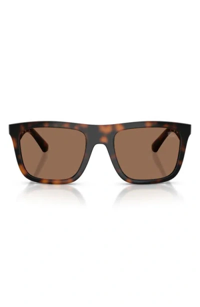 Burberry 55mm Square Sunglasses In Brown