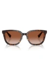 Burberry 57mm Square Sunglasses In Dark Havana