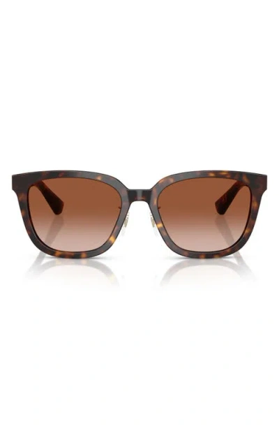 Burberry 57mm Square Sunglasses In Dark Havana