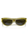 Burberry 58mm Cat Eye Sunglasses In Green