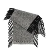 Burberry Happy Alpaca Blend Fringe Scarf In Gray