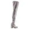 Burberry Anita Over-the-knee 110 Mm Heel Boot In Silver/crystal In Silver Tone