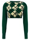 Burberry Check Cotton Knit Long Sleeve Sweater In Green