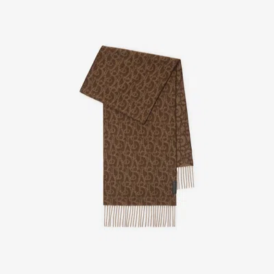 Burberry B Charm Cashmere Scarf In Twig