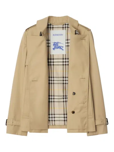 Burberry Belted Double-breasted Jacket In Brown