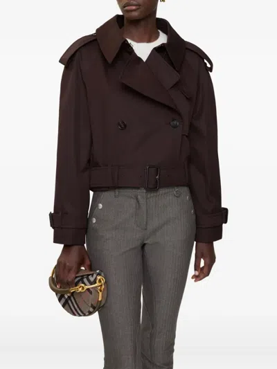 BURBERRY BELTED JACKET