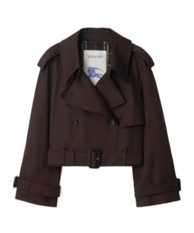 Burberry Belted Jacket In Brown