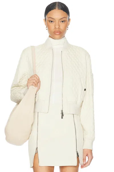 Burberry Bomber Jacket In Plaster