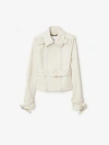 Burberry Bonded Cotton Trench Jacket In Sail