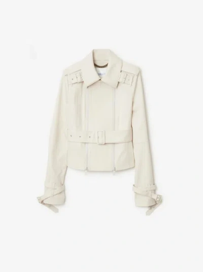 Burberry Bonded Cotton Trench Jacket In Sail