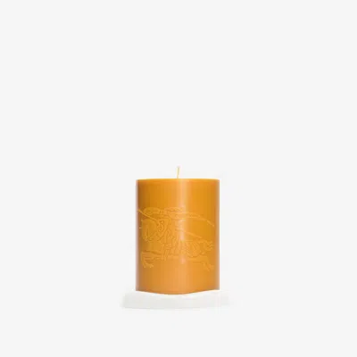 Burberry Botanic Garden Candle In Yellow