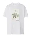 Burberry Botanical Sketch Print Cotton T-shirt In White