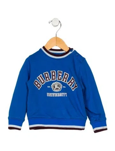 Pre-owned Burberry Babies' Boy's Blue Sweater.