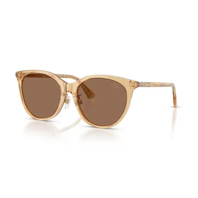 Burberry Brown Cat Eye Ladies Sunglasses Be4464d 416773 56