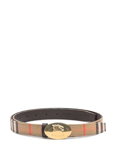 Burberry Belt In Brown