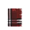 Burberry Men Cashmere Check Scarf In Brown