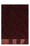 Burberry Cashmere Scarf Frayed Hem