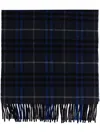 Burberry Cashmere Scarf In Blue