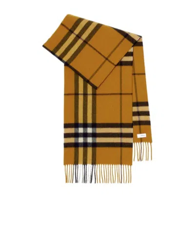 Burberry Cashmere Scarf In Brown