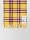 Burberry Cashmere Scarf With Fringed Edges And Plaid Pattern
