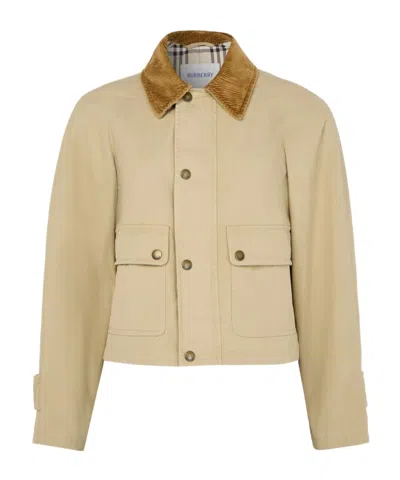 Burberry Beige Cropped Cotton Jacket In Brown