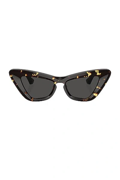 Burberry Beveled Acetate & Plastic Cat-eye Sunglasses In Dk Havana