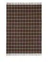 Burberry Check Fringing Cashmere Blanket In Brown