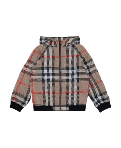 Burberry Check Hooded Jacket In Black
