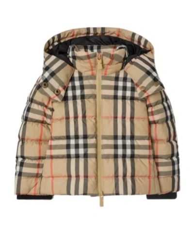 Burberry Check Hooded Puffer Jacket In Black