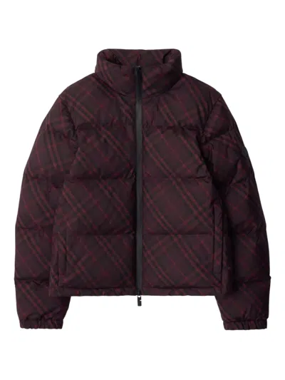 Burberry Karierte Steppjacke In Burgundy