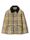 Burberry Checkered Jacket