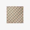 Burberry Checked Silk Scarf In Stone