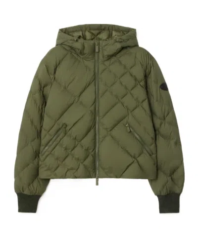 Burberry Check-stitch Nylon Delley Puffer Jacket In Green