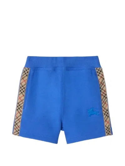 Burberry Check-stripe Shorts In Blue