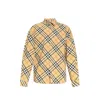 Burberry Button-down Collar Checked Pattern Shirt In Brown
