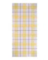 Burberry Checked Wool Scarf In Purple