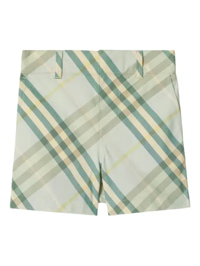 Burberry Babies' Checkered Shorts In Green