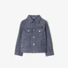 Burberry Striped Bomber Jacket In Blue