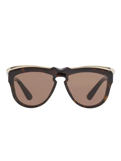 Burberry Classic Brow Sunglasses In Brown